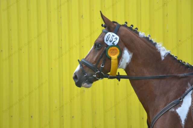 reitertag 2013 154